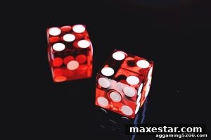AG真人 maxestar